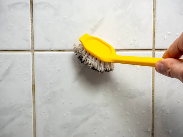 Best Mold Cleaning Services  in Olympia Heights, FL